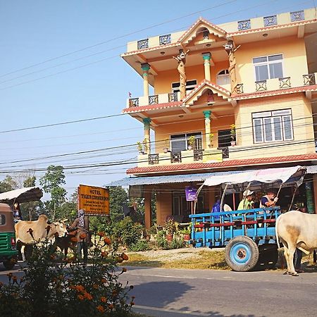 Tiger Corner Inn Homestay Sauraha Exteriör bild