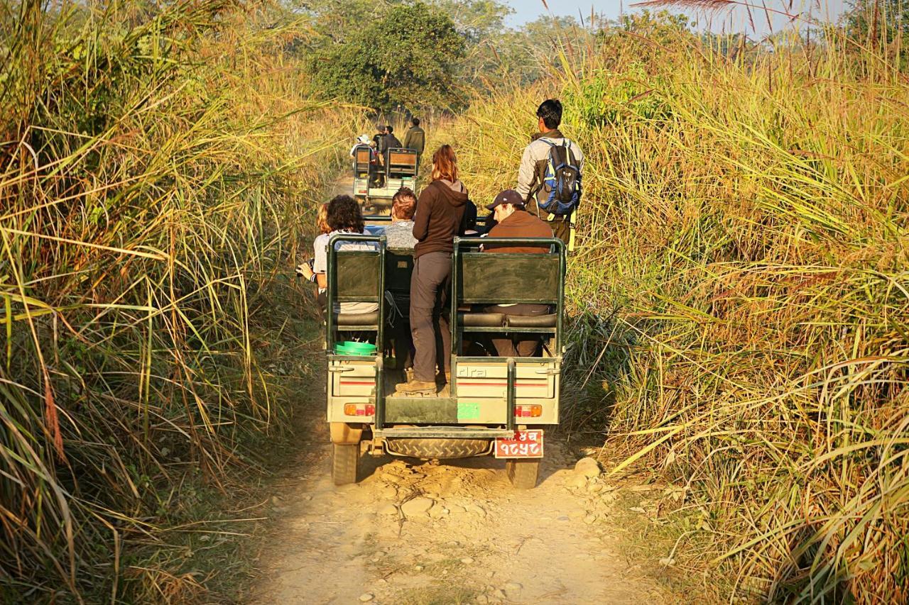 Tiger Corner Inn Homestay Sauraha Exteriör bild