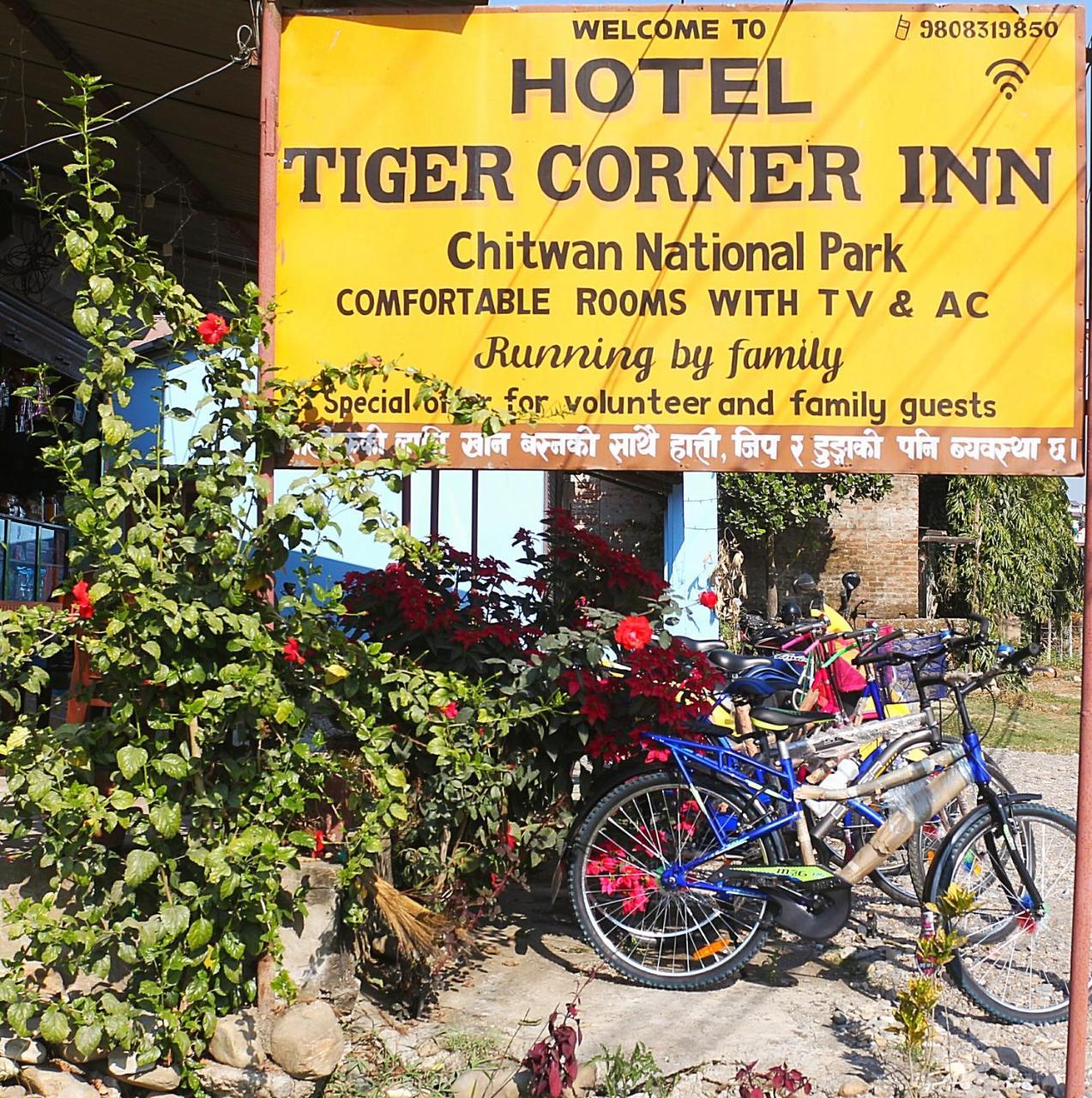 Tiger Corner Inn Homestay Sauraha Exteriör bild